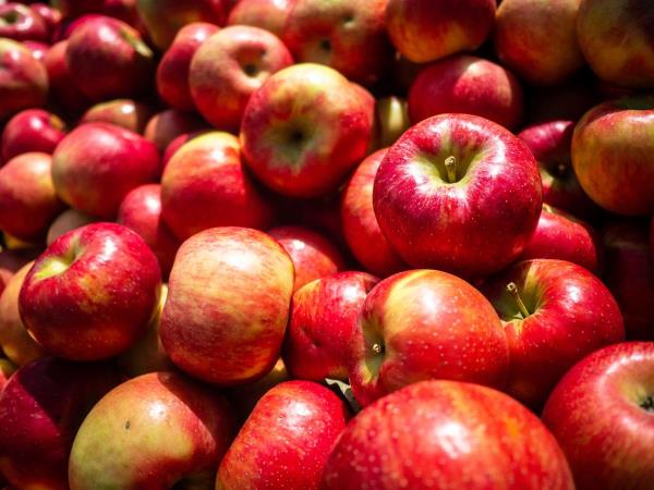 omenamaksa puhdas hyviä ideoita