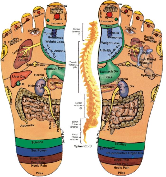 acupressure elää terveen terveen elämän parantava käytäntö hieronta acupressure alueilla jalka