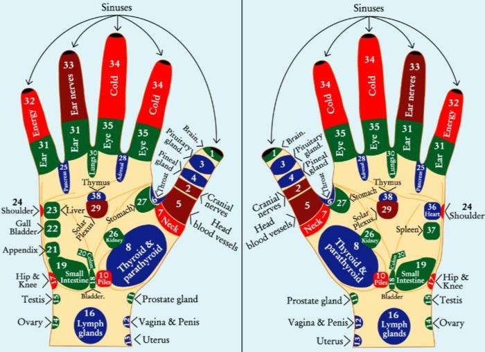 akupressuuri elää terveen terveen elämän parantava käytäntö hieronta akupressure vyöhykkeet kädet