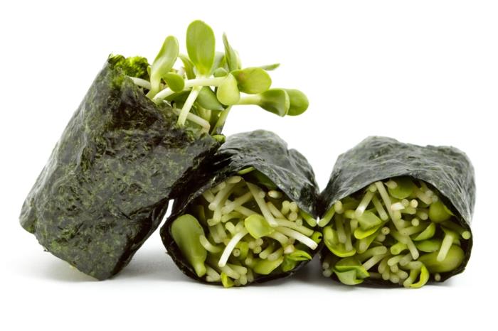 leväruokaideoita sushi -levän reseptiideoita