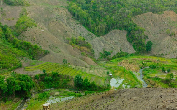 Fakim ​​Wildlife Sanctuary Parkok Nagalandban