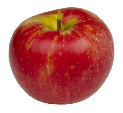 almindelige typer æbler