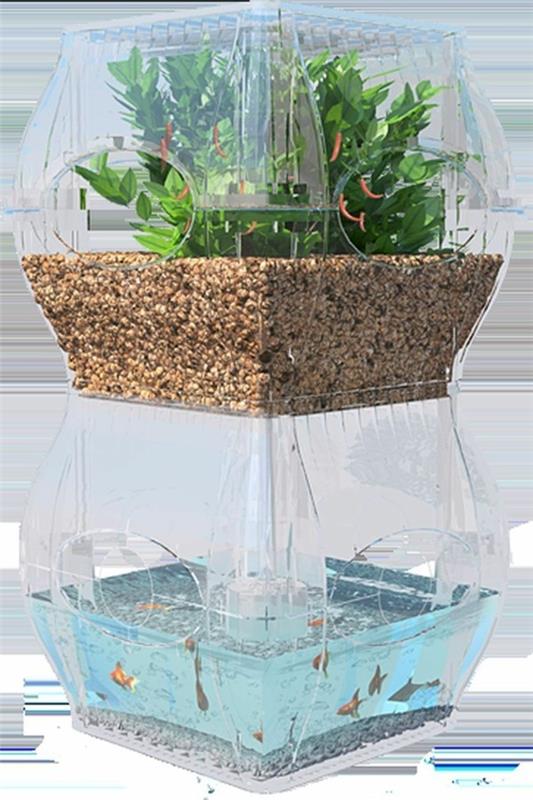 aquaponics minijärjestelmä