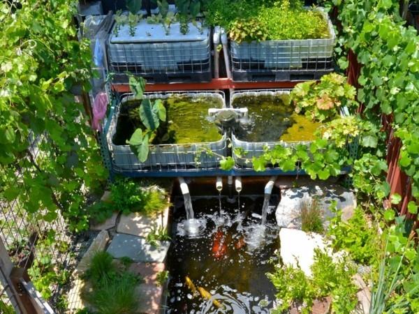 aquaponics kestäviä puutarhaideoita