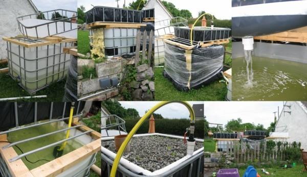 aquaponics -järjestelmä puutarhassa
