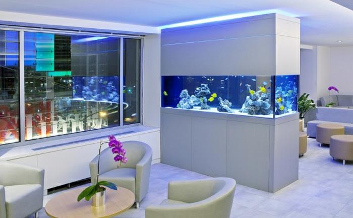 akvaario perustaa design -ilmapiiri sisustusesimerkkejä seinän suunnittelu keskellä