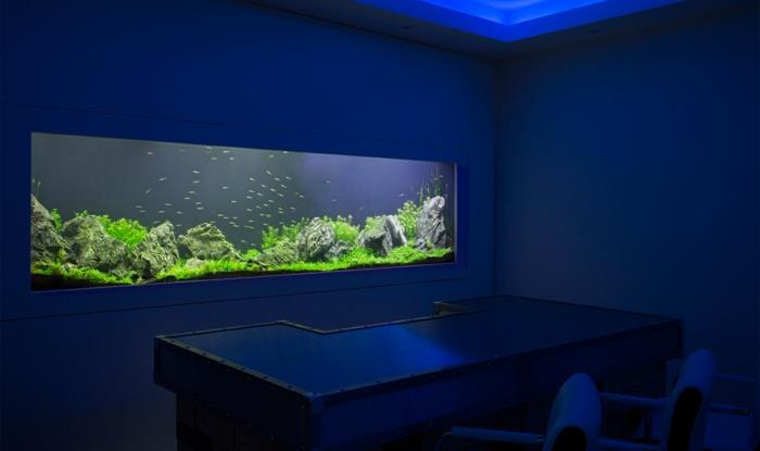 akvaario perustaa design -ilmapiiri sisustusesimerkkejä seinäsuunnittelu olohuone