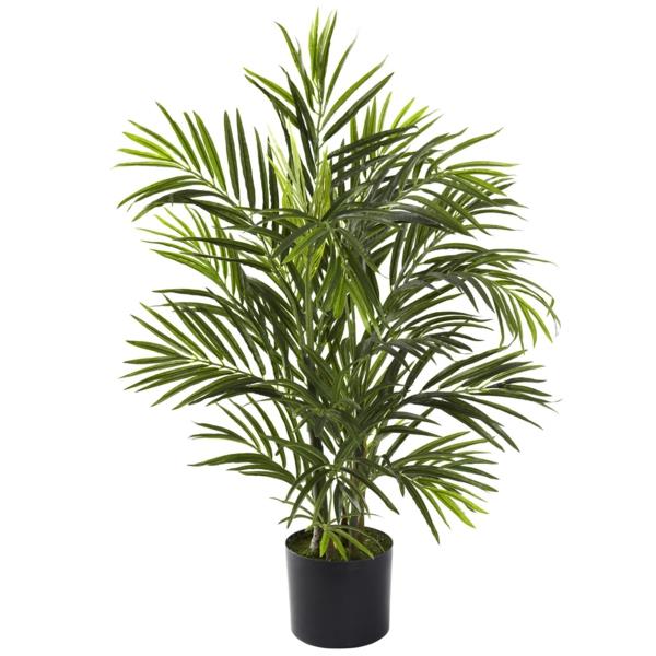 areka palmu helppohoitoiset huonekasvit palmulajit