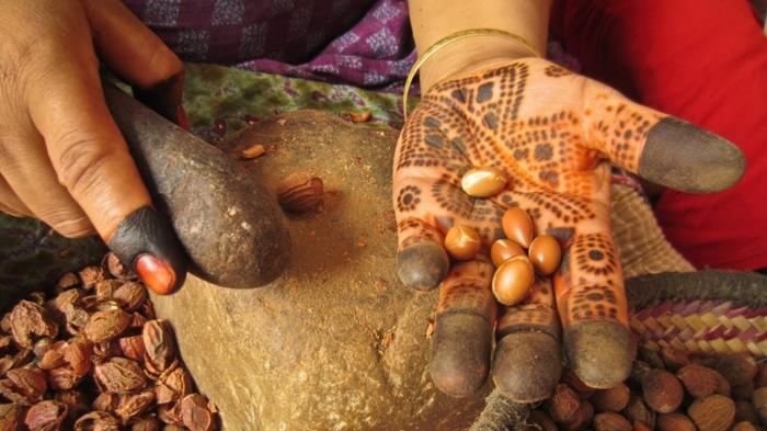arganöljy arvokas öljy terveellinen arganpuuöljy tuotanto henna käsi koristeet argan hedelmät afrikka