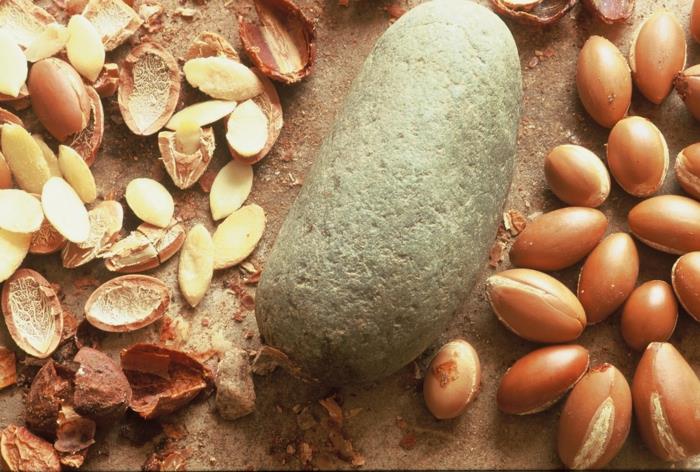 argan arvokas öljy terveet hedelmät perinteinen öljyn uuttaminen afrikka marokko