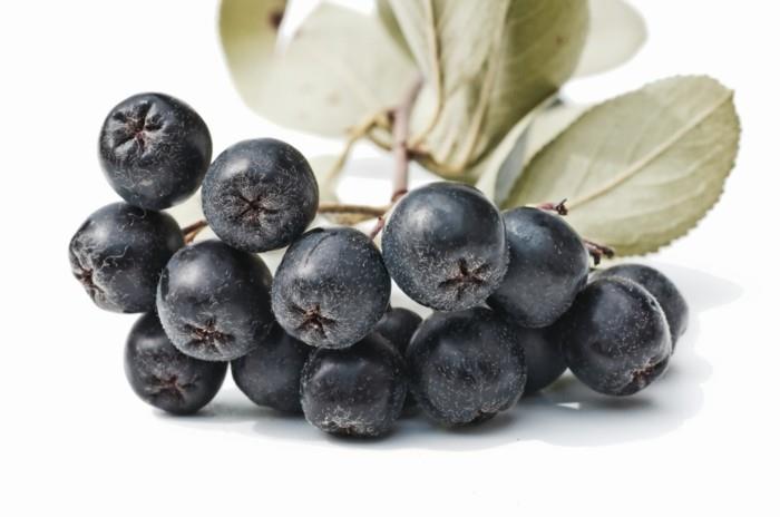 aronia marjat mehu aronia reseptit sulkeutuvat