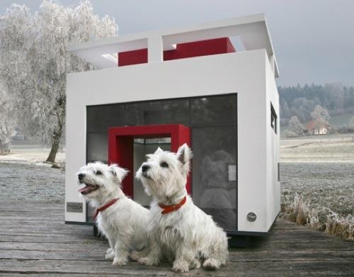 houkuttelevat huonekalut lemmikeille talo valkoinen punainen cubix