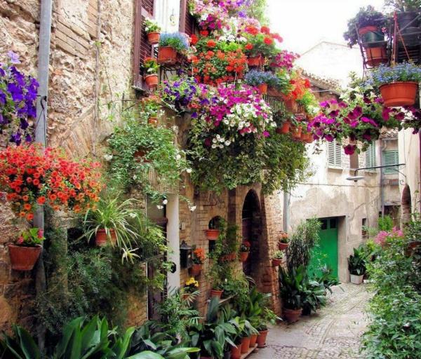 Suunnittele houkutteleva parveke - erilaisia kasvilajeja houkutteleva parveke muotoilu design kukat vanhanaikaisia