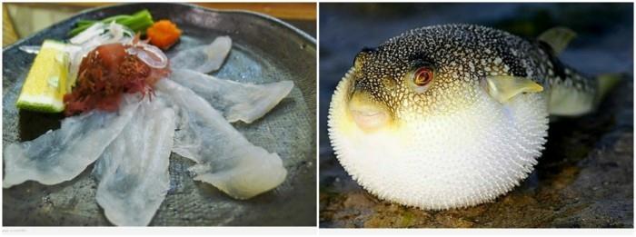 poikkeuksellinen ruoka fugu