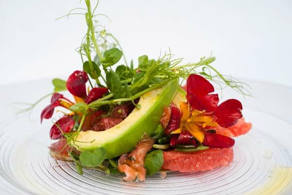 avokado reseptit tuore salaatti syötävät kukat ituja