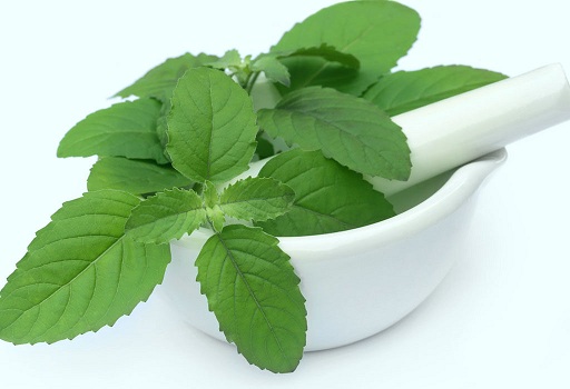 Mint Ayurvedic behandling for bumser