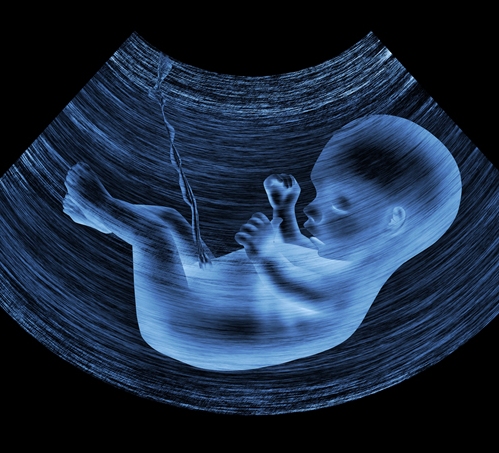 babyvækst under graviditeten