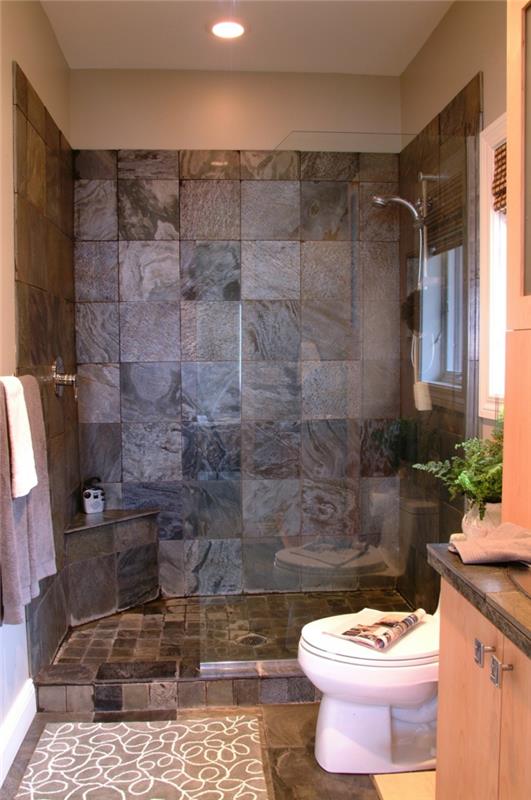 kylpyhuone laatat kylpyhuone ideoita pieni kylpyhuone seinälaatat pieni lattialaatat kasvi