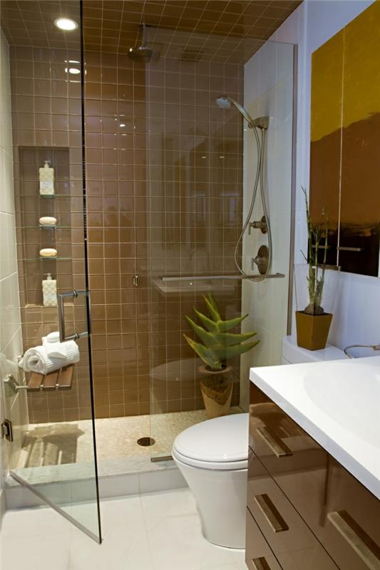 kylpy laatat ruskea pieni kylpyhuone ideoita kasvi suihku