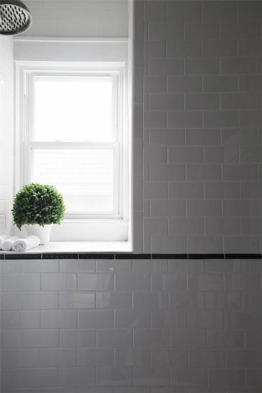 Kylpyhuone asetti huonekasveja ikkunaan