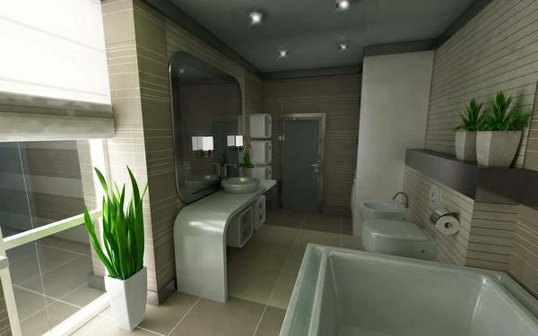 kylpyhuoneideoita moderneihin koristekasveihin
