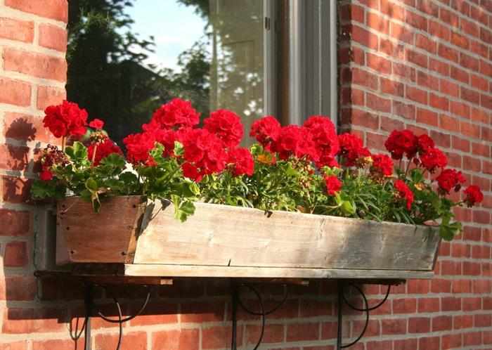 parveke kasvit punainen geraniums ikkuna koristelu tiili julkisivu