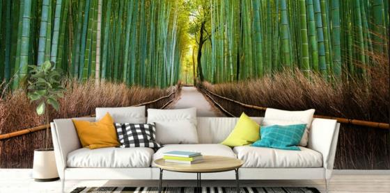bambu metsä 3d valokuvataustakuva olohuone