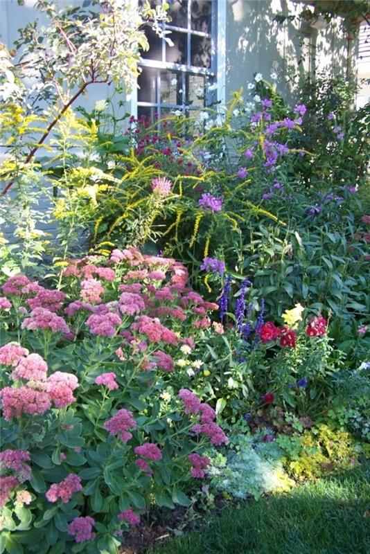 viljelijän puutarha kauniita ideoita värillisillä kukilla
