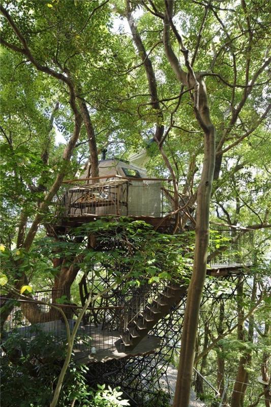 puu talo rakennus teehuone japani treehouse eko talo