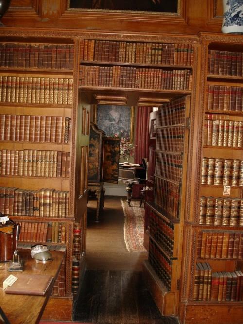 kirjahyllyt puinen salainen ovi piilotettu huone