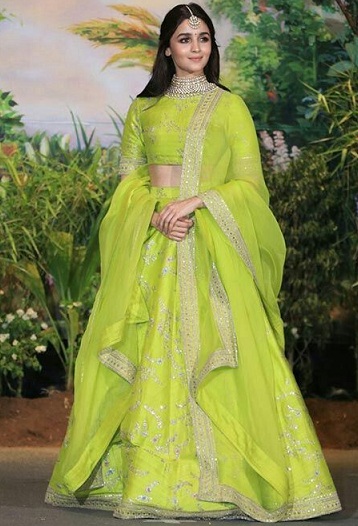 Alia Bhatt i Embroidery Saree