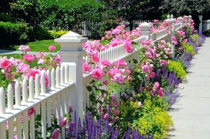 vuodevaatteet ruusut salvia naisten vaipan puutarhan suunnittelu