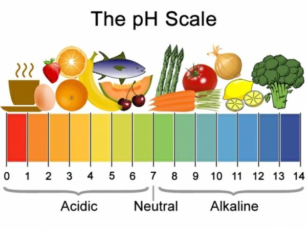 Kehon happamoituminen Oireet pH -arvot Ruoka