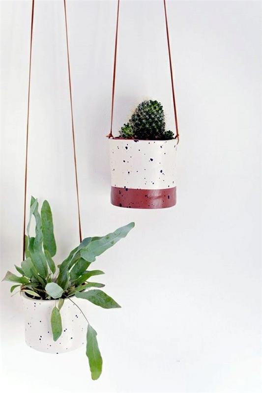 tee kaktus -roikkuvat ruukut huonekasvi itse
