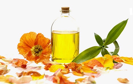 Japanske skønhedstip og hemmeligheder-Camellia Oil