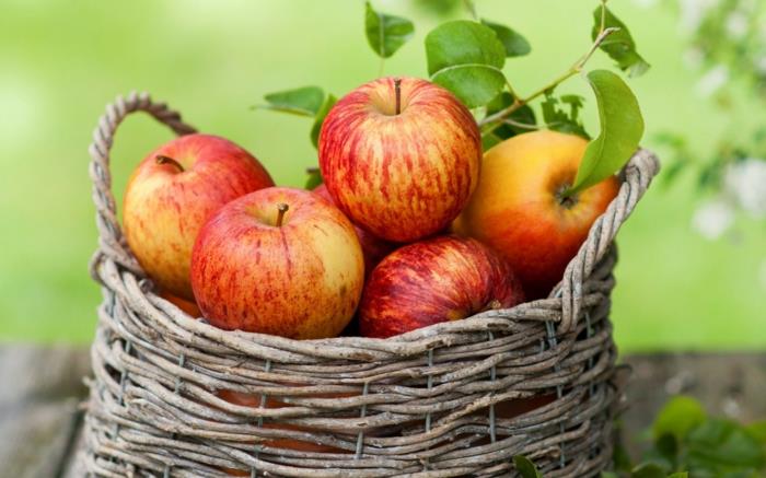 tietoinen ravitsemus omenat syövät hedelmiä terveellisesti