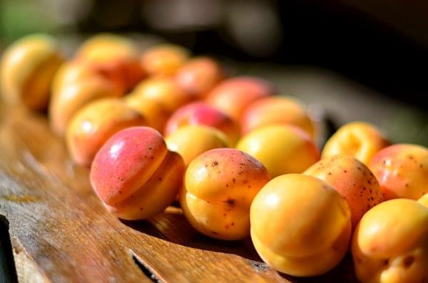 orgaaniset aprikoosit tuoreet hedelmät ravintoarvot