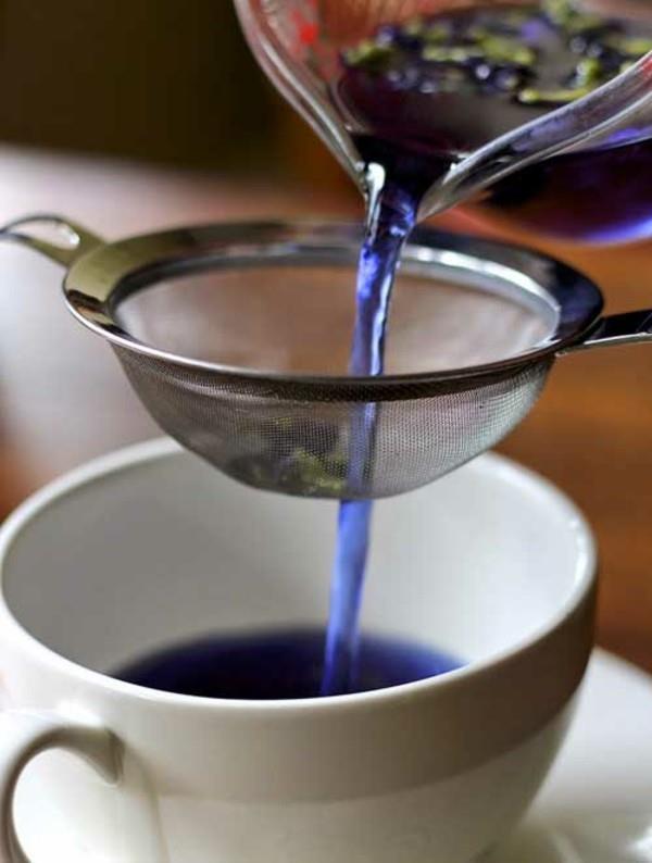 sininen juoda teetä clitoria ternatea
