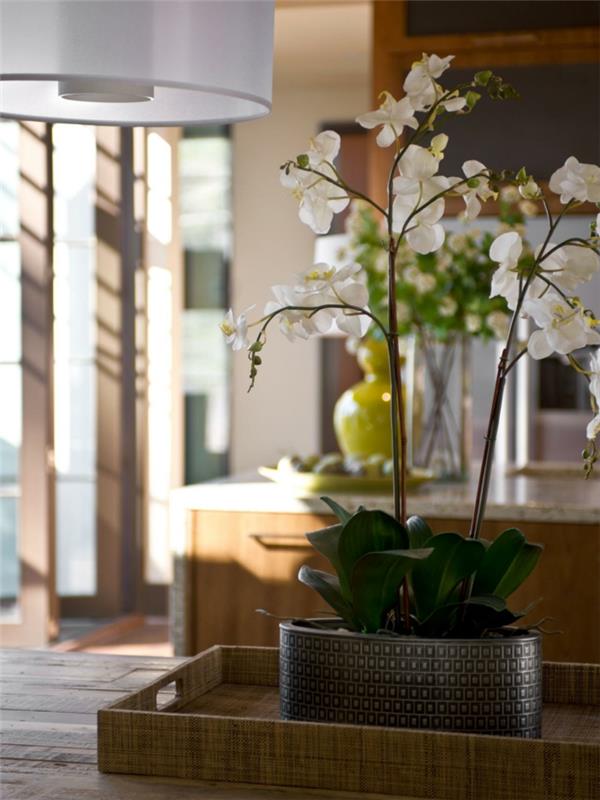 kukkakoriste -ideoita orkidea huonekasveja