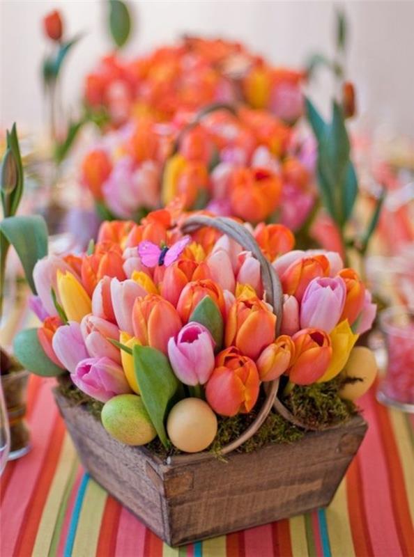 kukka -asetelmat begonia -järjestely tulppaanit ämpäri