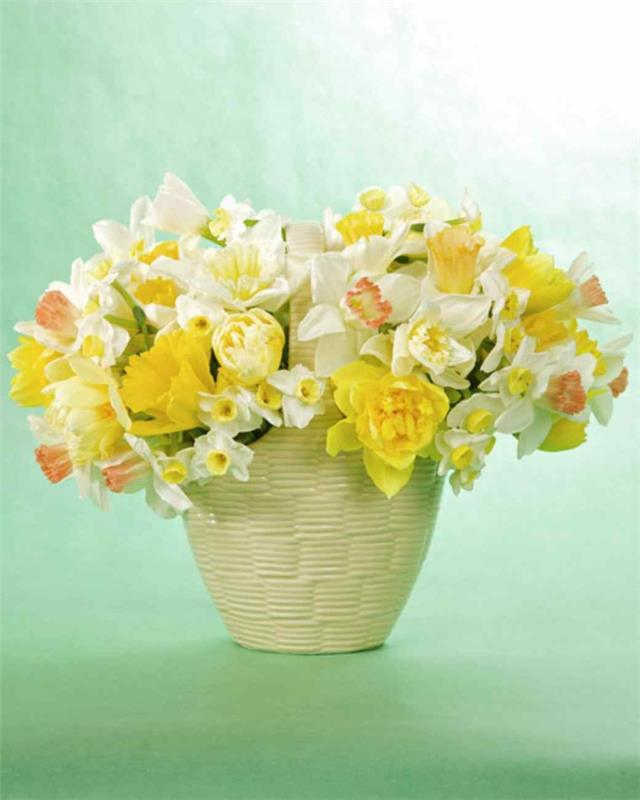 pöydän koristelu begonia tulppaanit narsissit