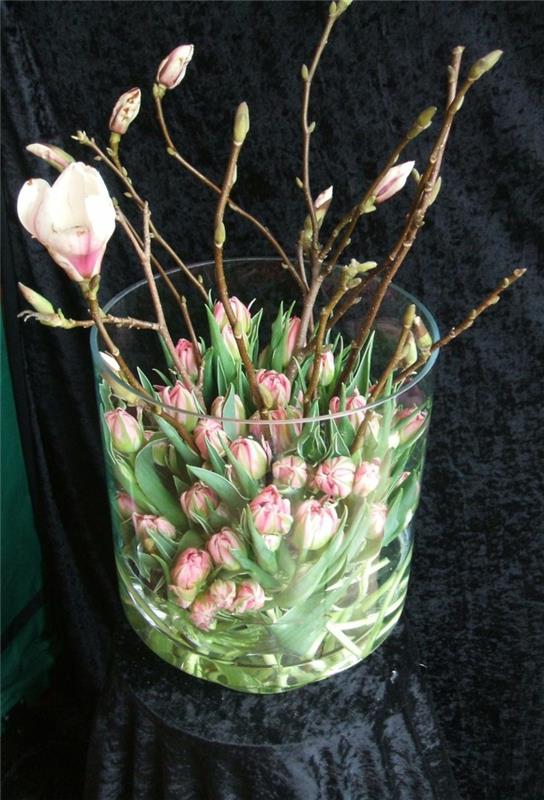 tulppaanit silmut tulppaanit silmut