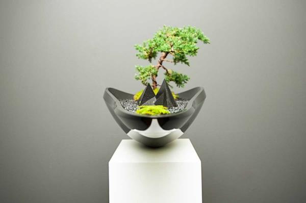 kukkaruukku suunnittelu bonsai puu adrian magu