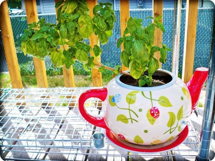 maalaa kukkaruukku tinker lasten kanssa DIY ideoita puutarhan suunnittelu teenkeitin