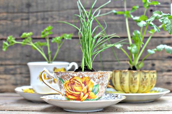 kukkaruukut kauniisti maalattuja teekuppeja