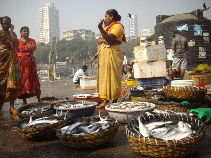 bombay intia mumbai kalastusmarkkinat