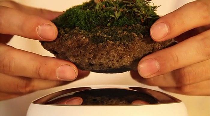 bonsai -puun ilmamagneettipohja lentävä japani -projekti