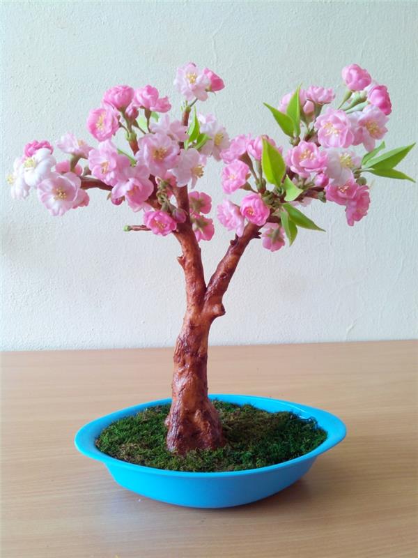 bonsai puu ideoita diy kirsikka sininen alus