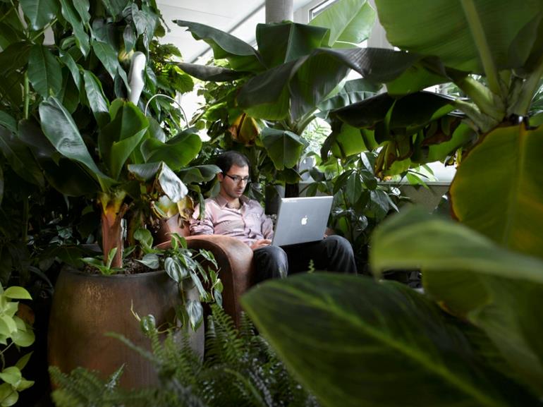 toimistokalusteet google zürich stressi työssä vihreä keidas