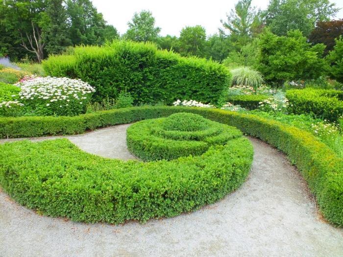 Boxwood -leikatut puutarhakasvit luova puutarhasuunnittelu